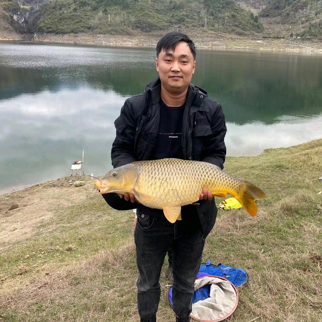 鱼乐@
