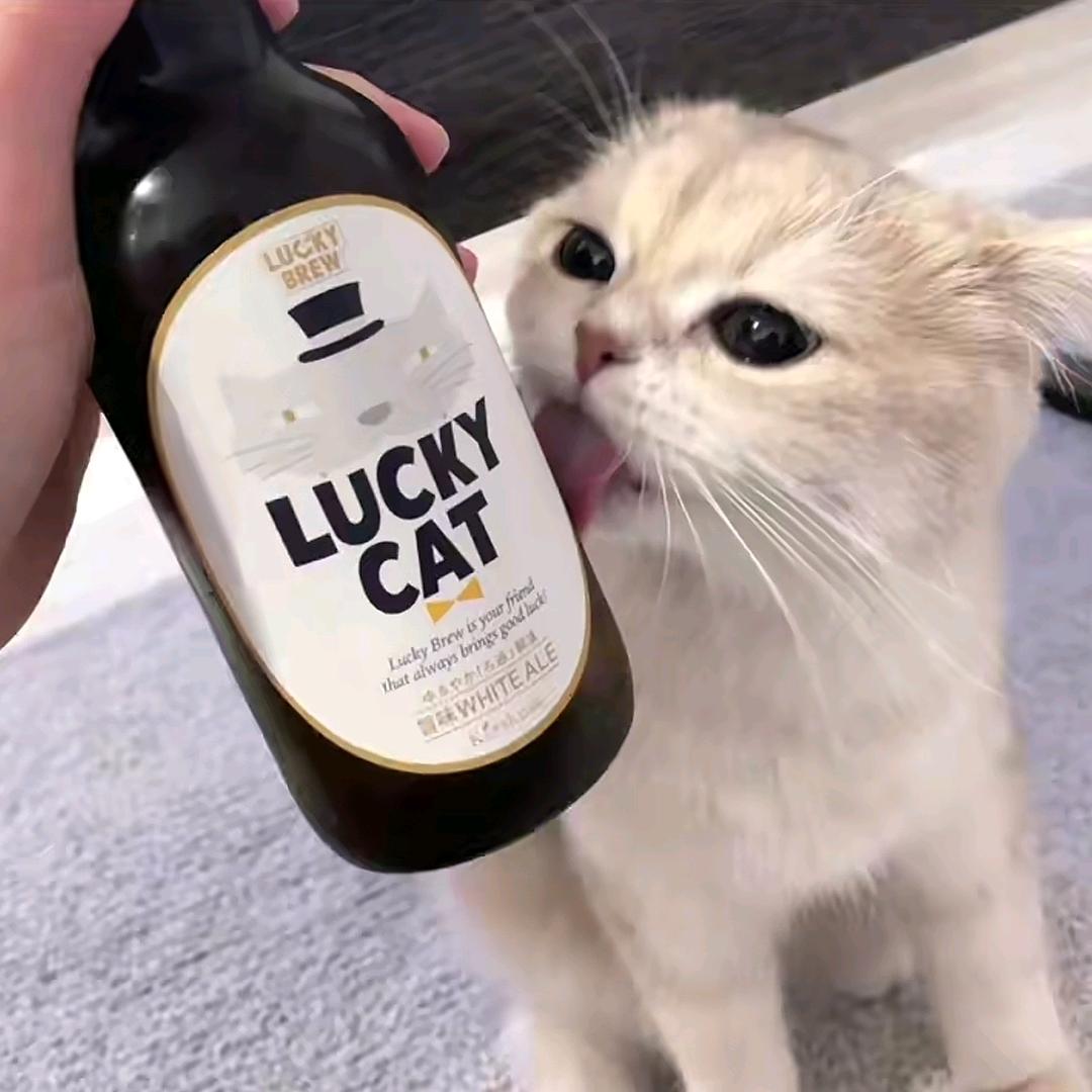 零一秒