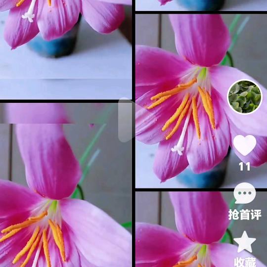 福如东海（麦穗）