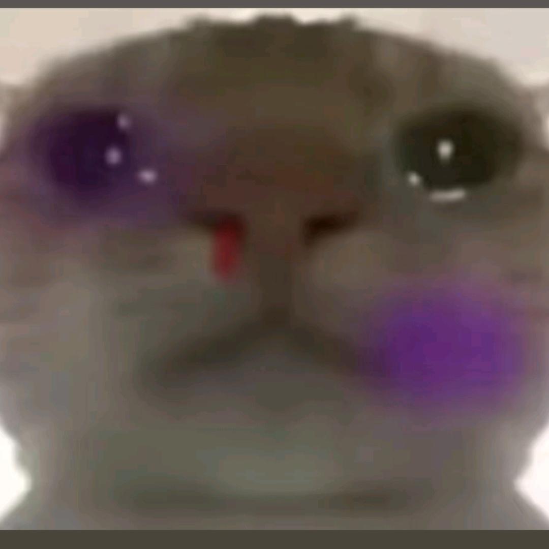 鼠鼠乌耳