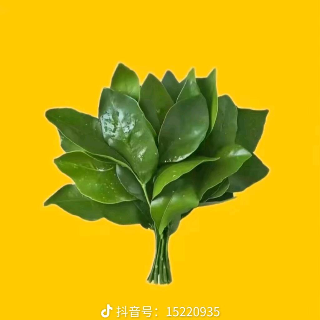 意难平