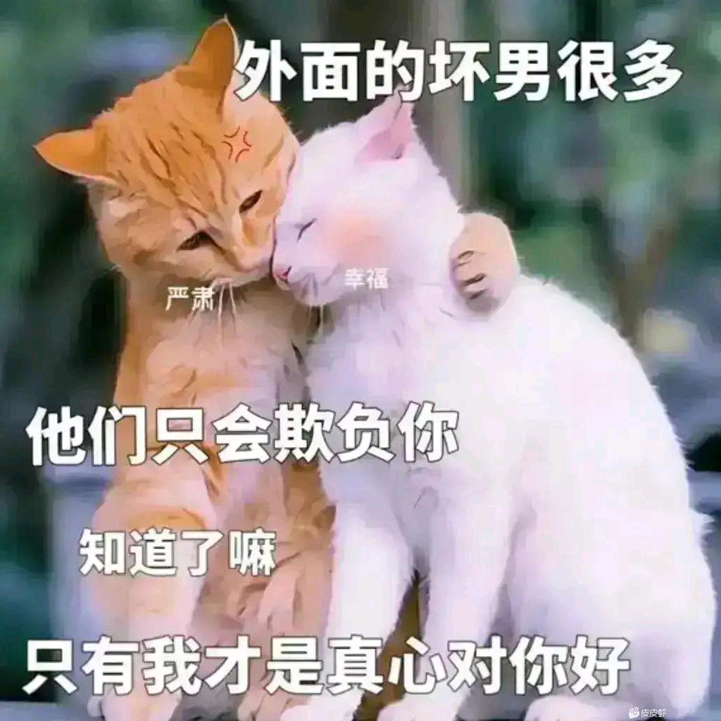 如风˃ 𖥦 ˂