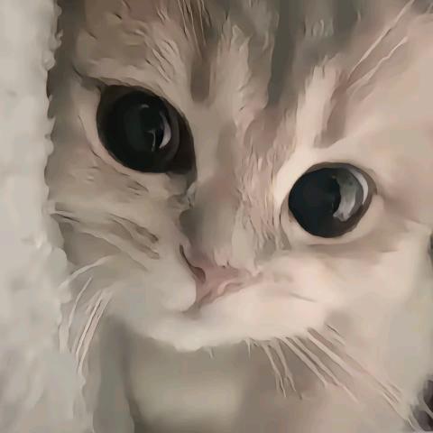心情不好都怪你