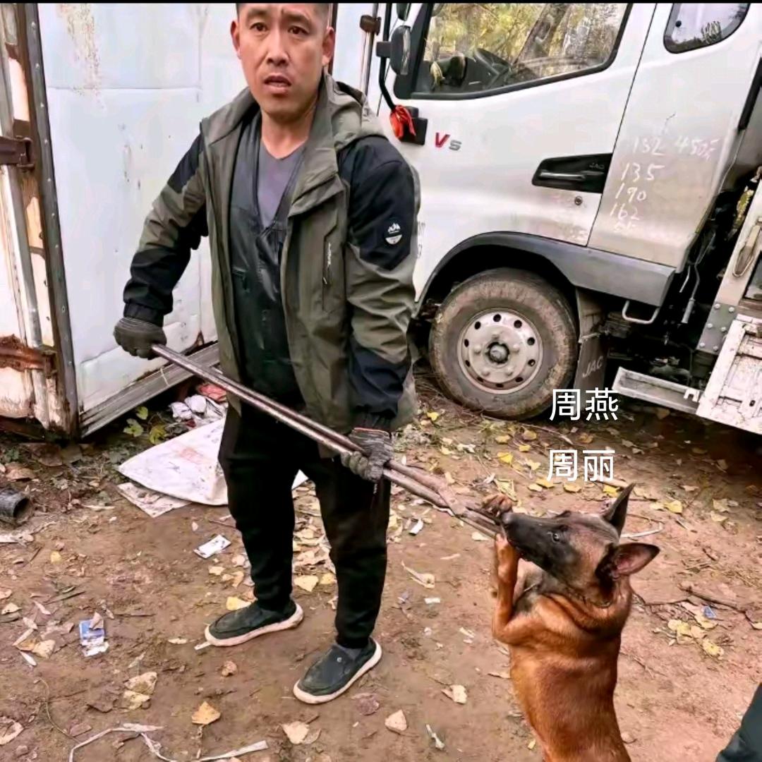 AAA套狗王师傅（全国可飞）