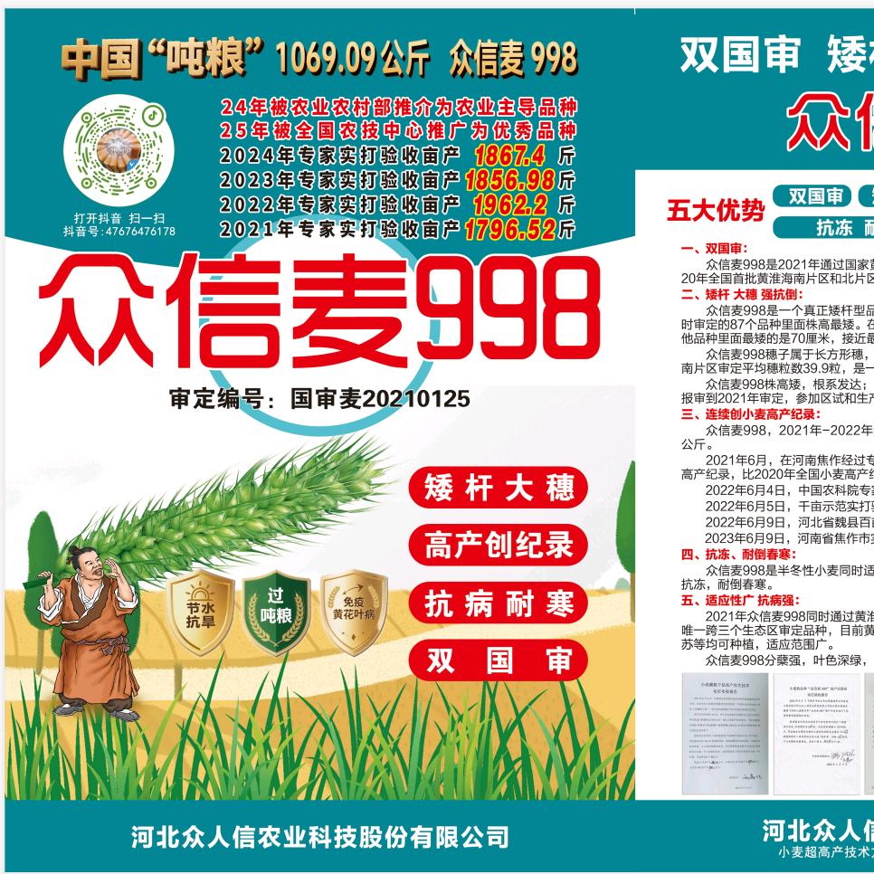 众信麦998.临泉团队