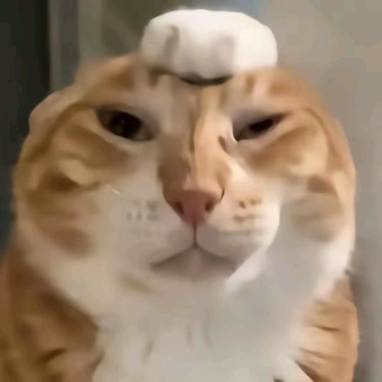 悲伤的农民666🗿（扩列版）