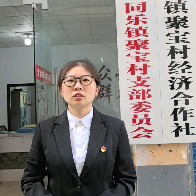 聚宝女支书（陈晓艺）