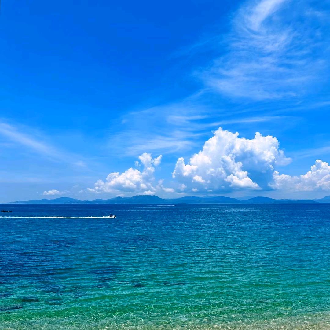 💕ღ᭄ 余生ᝰᩚ随心