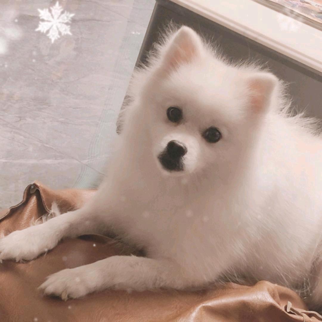 ✈️🍒小姨🍒