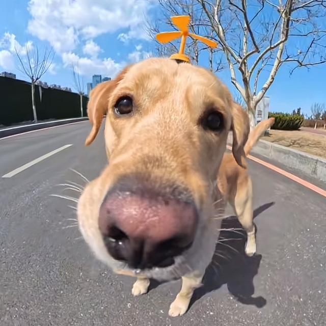 烂片王中王