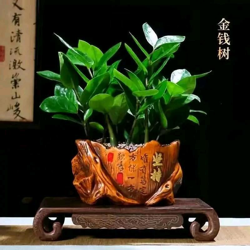 贤贤