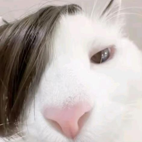7521