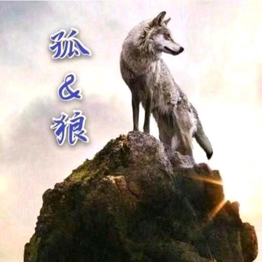 孤&狼