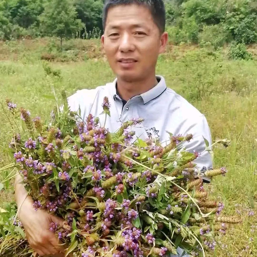 衔草堂