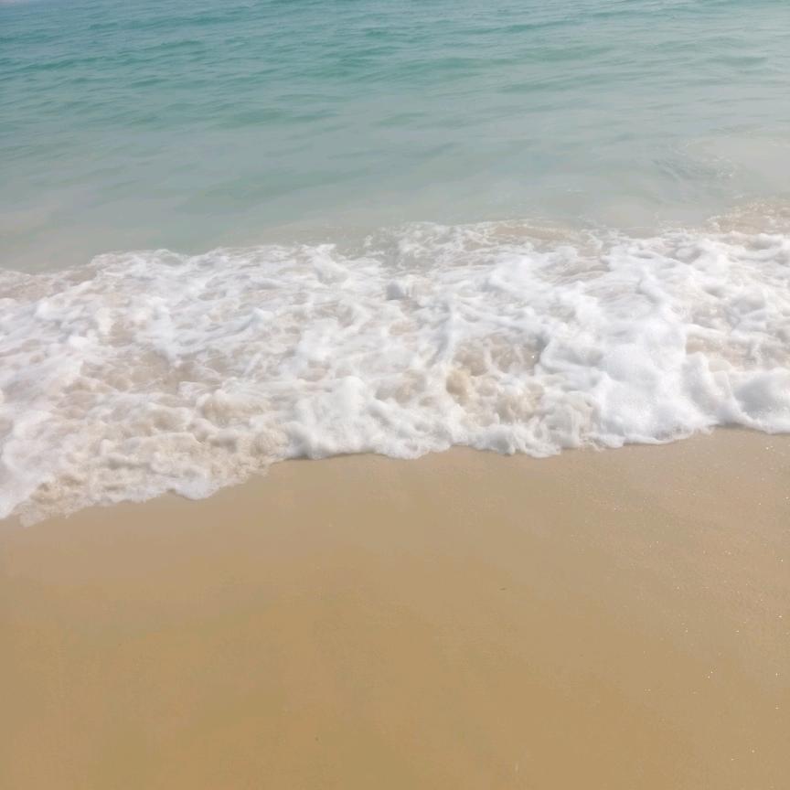 淳淳好物(拒连赞)