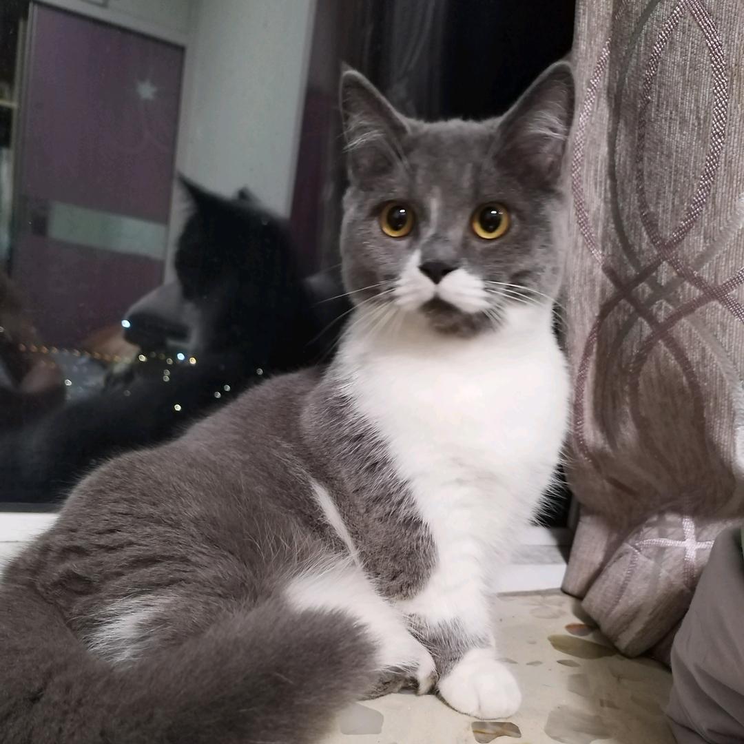 ZXW💕隐形de翅膀
