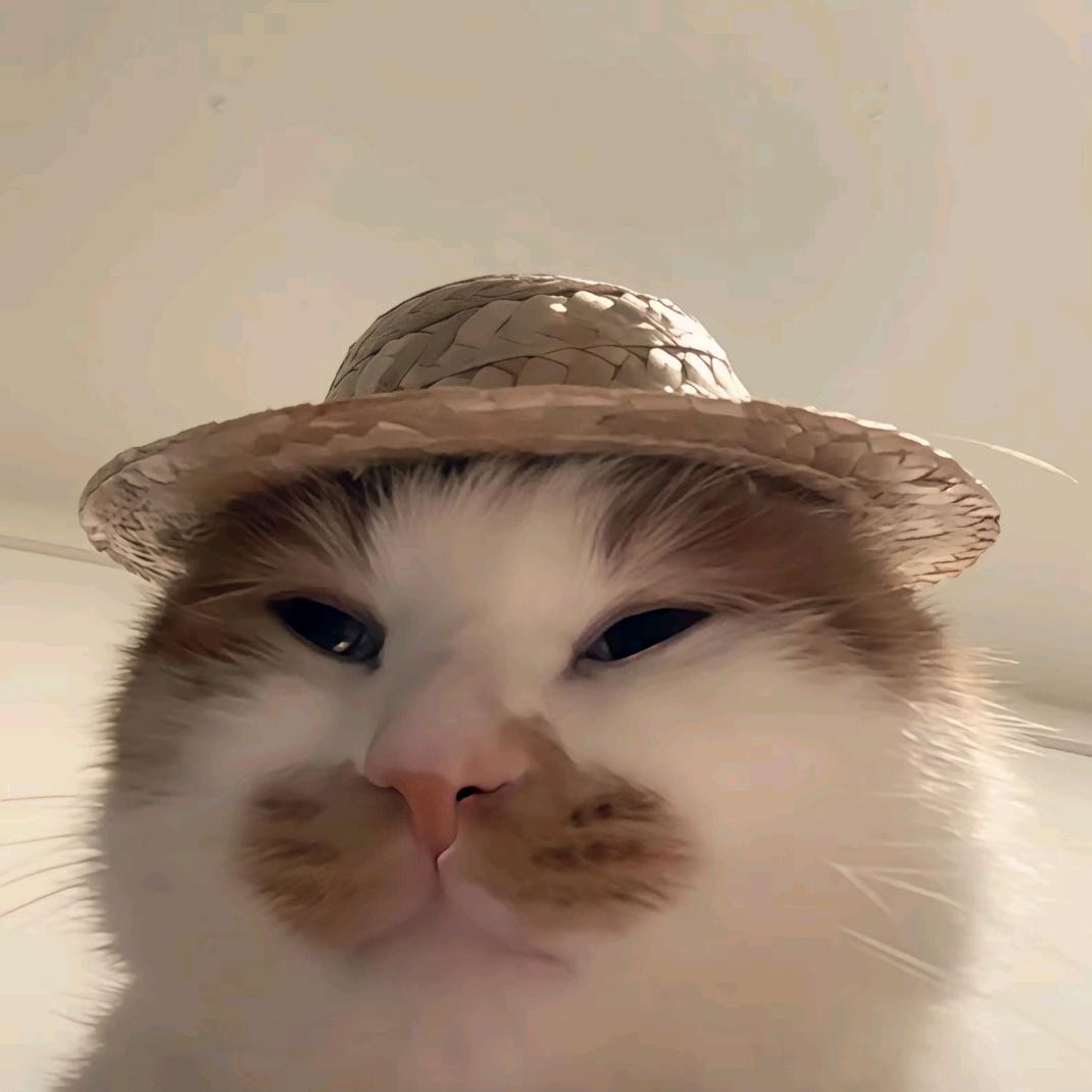 @?。？