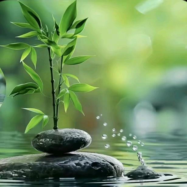 🕊鼠᭄ᩚ꯭ꩵ 前᭄🕊