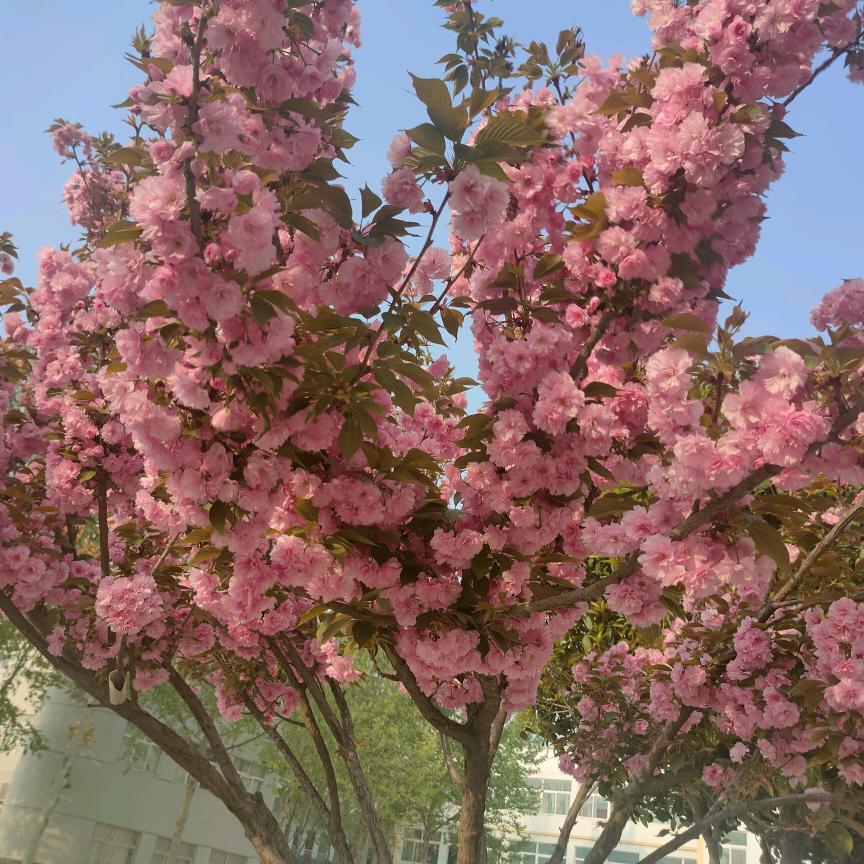 青山常在绿水长流