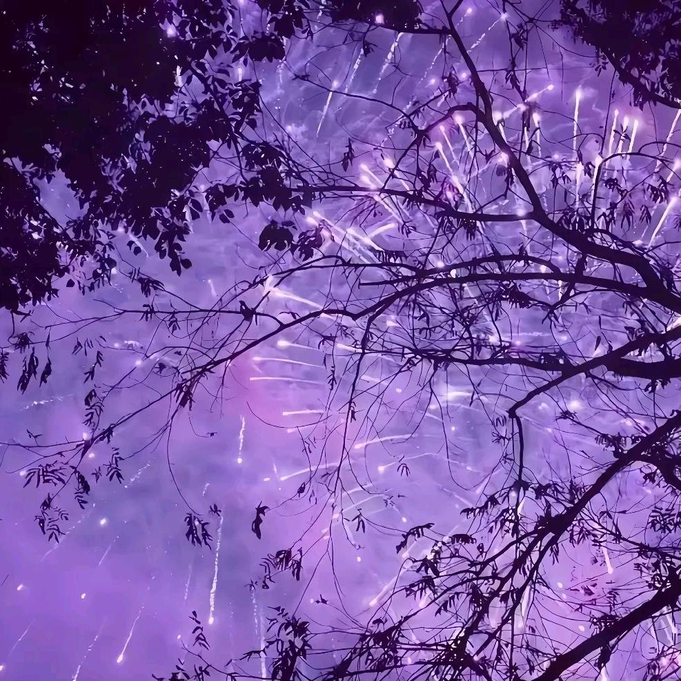 囡囡₍˄·͈༝·͈˄*₎◞ ̑̑