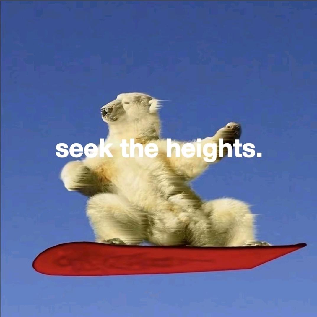 肥胖少年金三坨