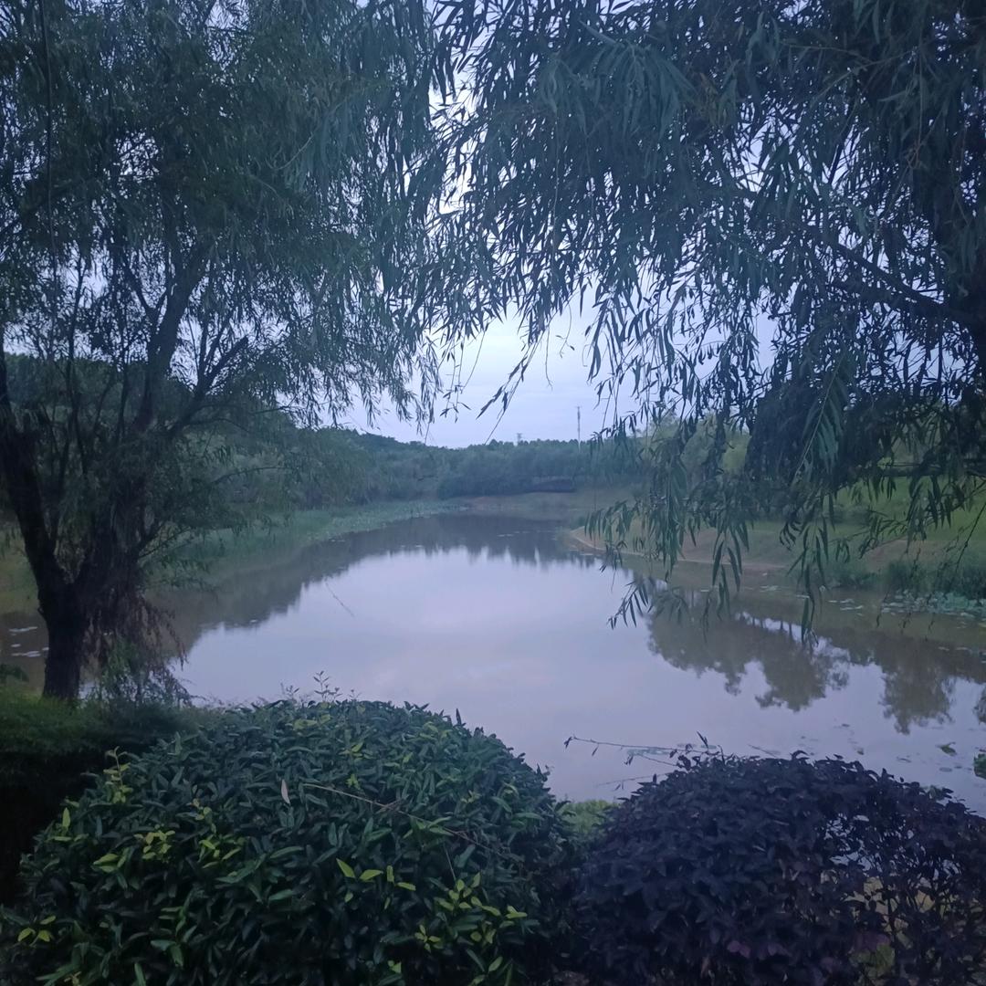 "学无止境"头像