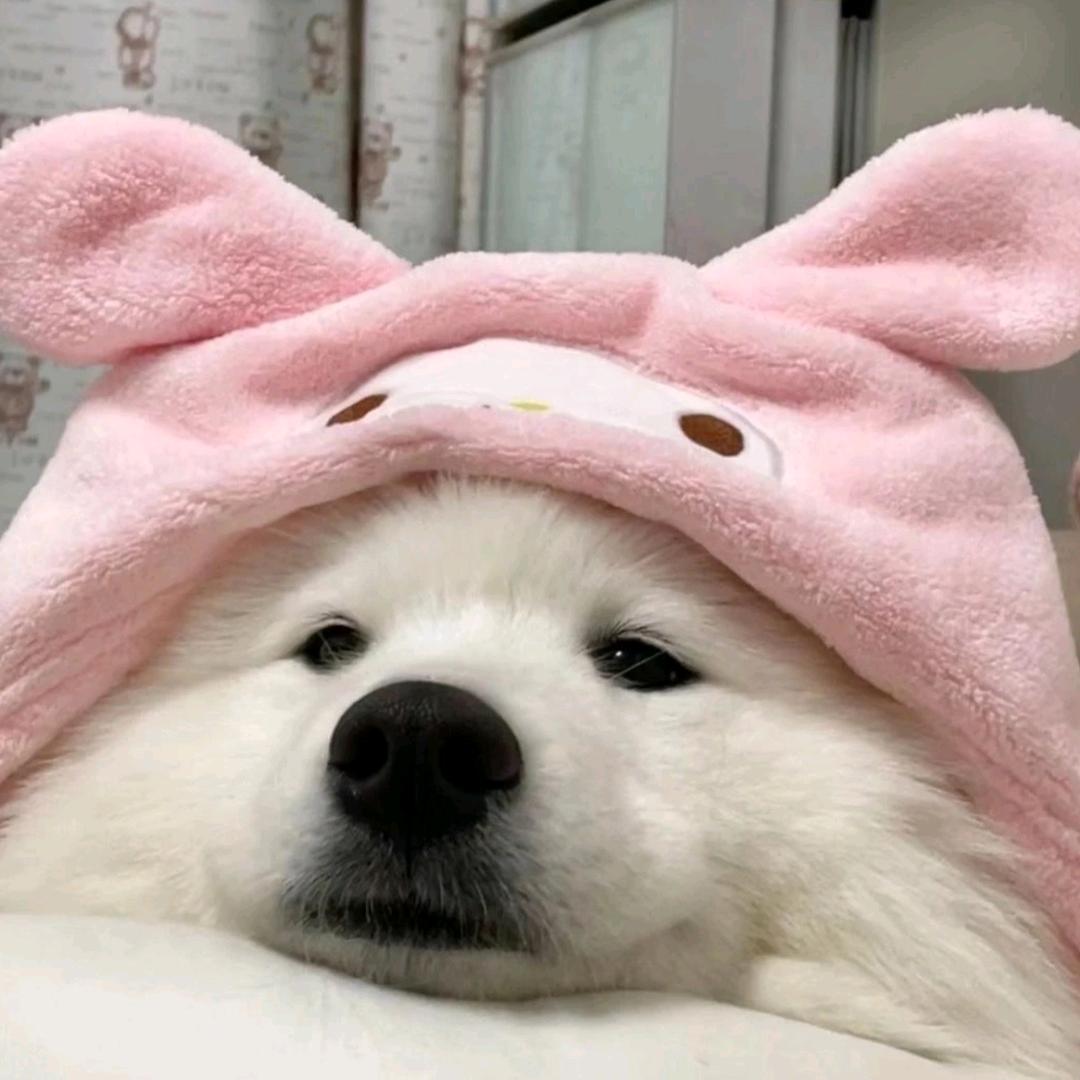 鑫.