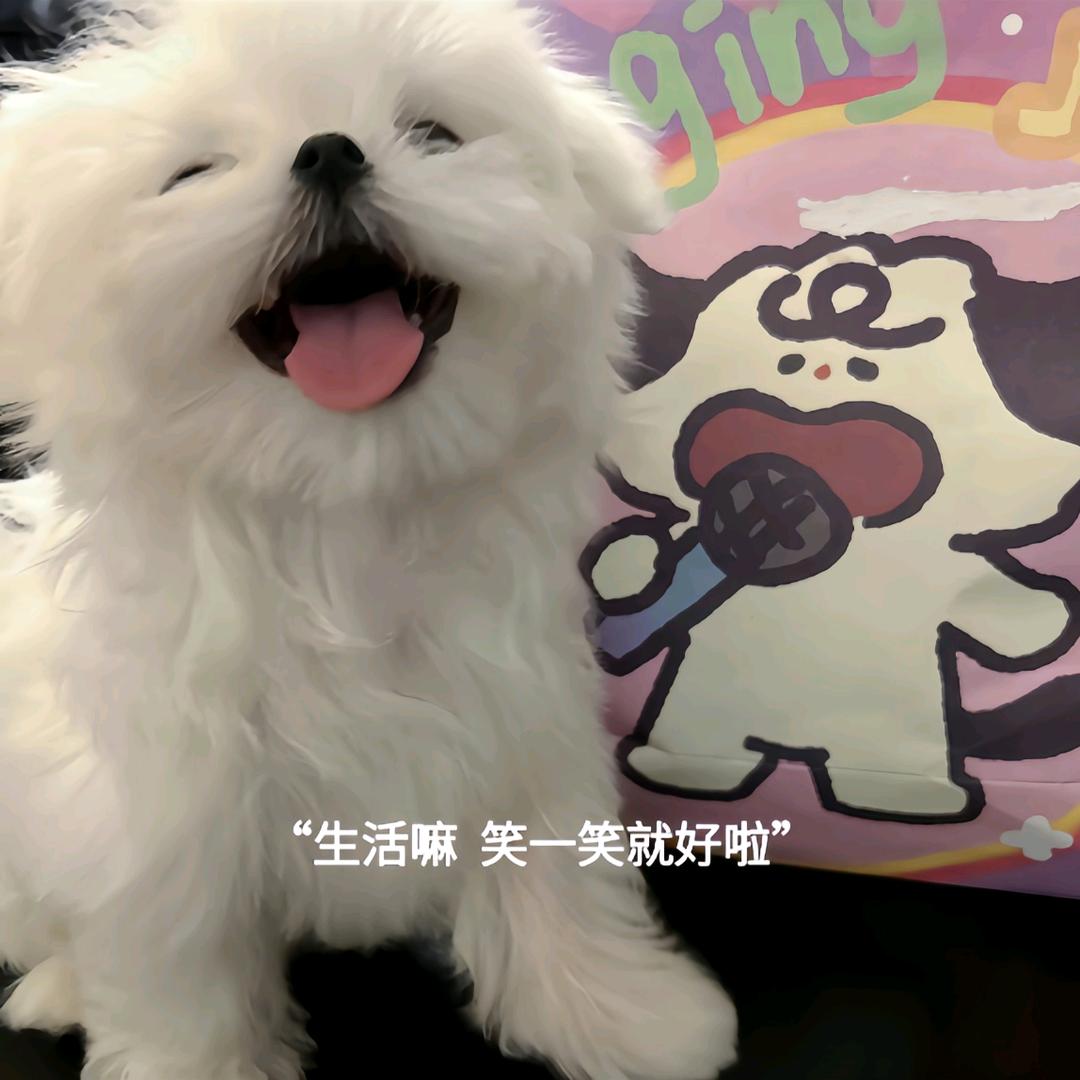 夷陵老祖  魏无羡