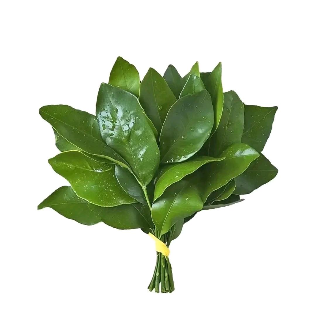 绳之间