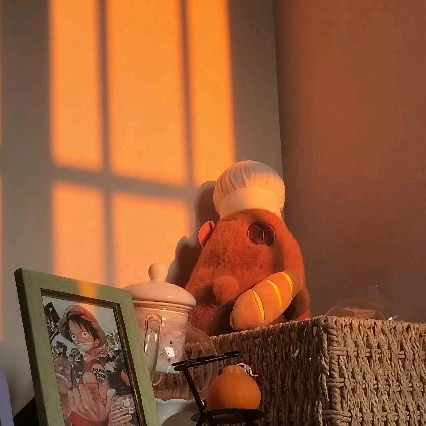 小姜要自由♒️