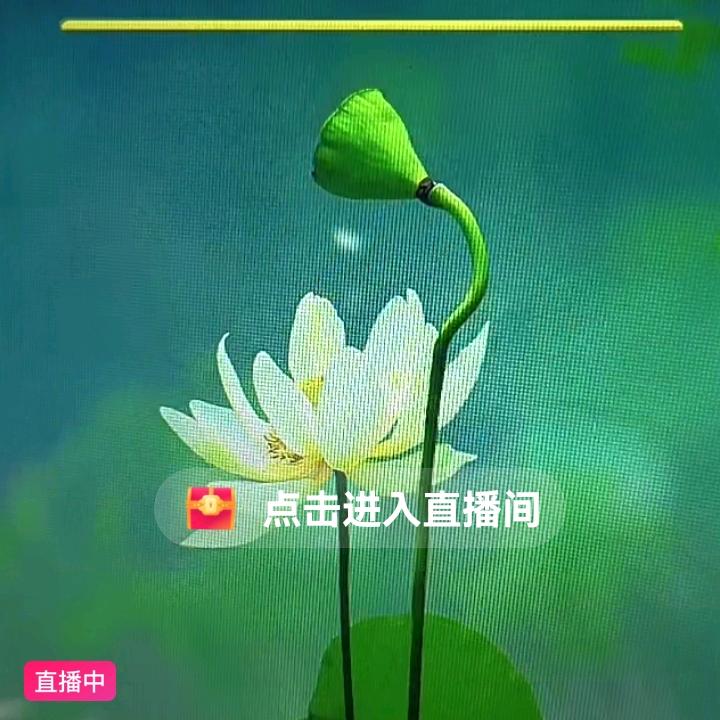 开心的人
