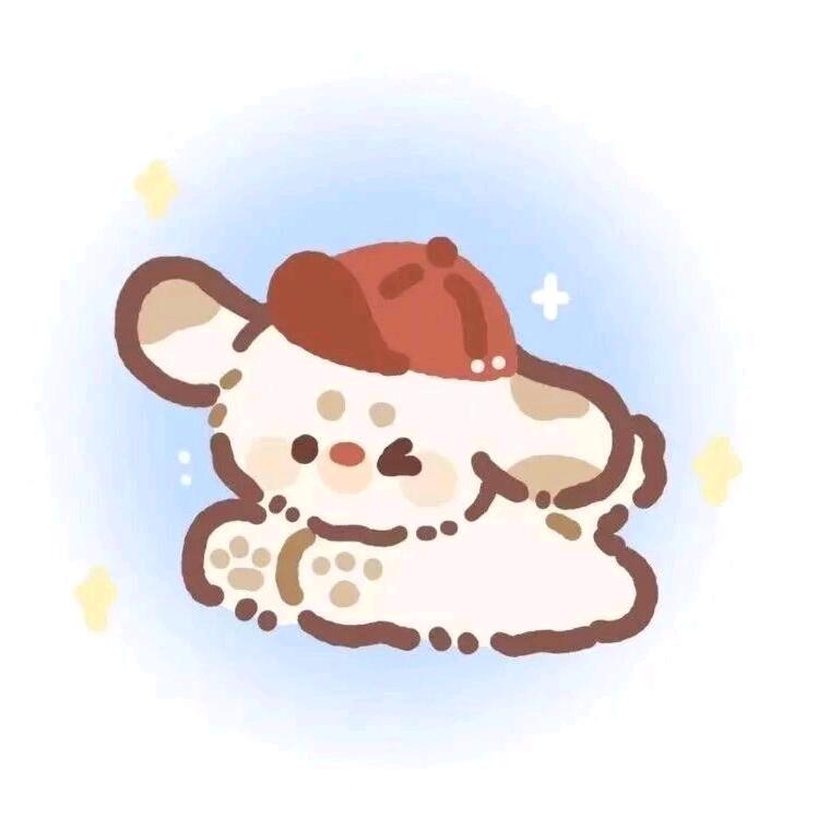 💤💤💤💤