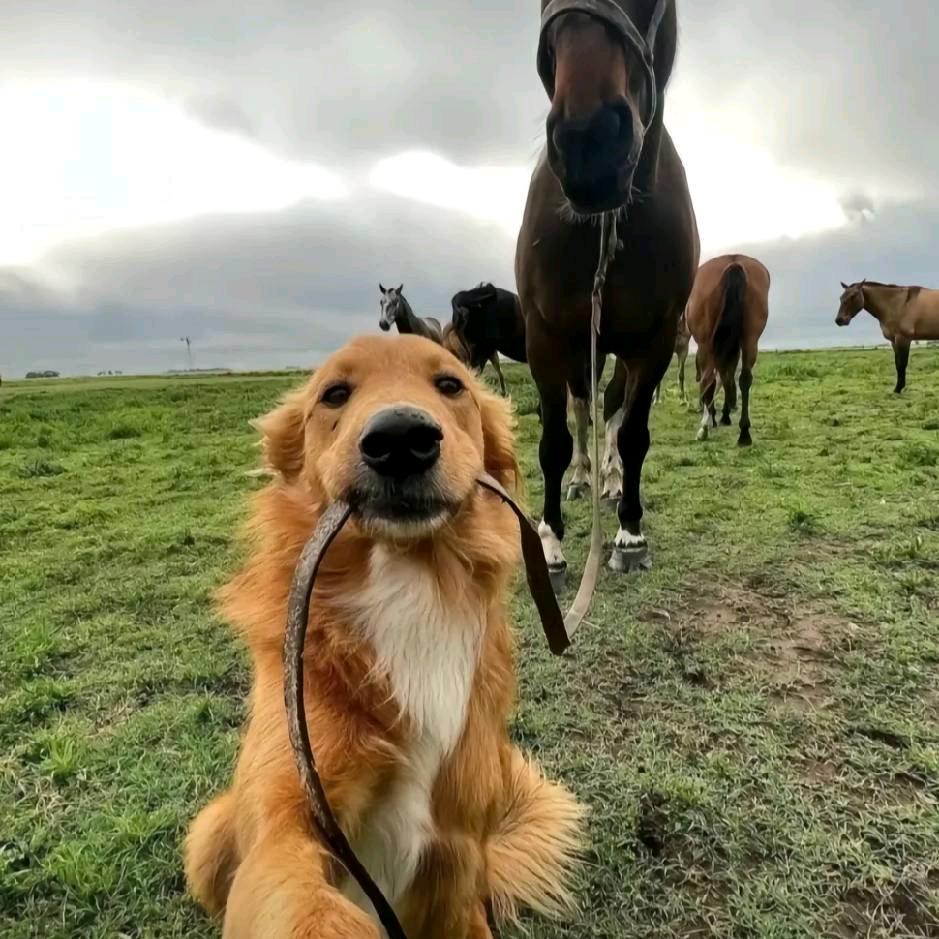 尚派佰草堂888（直播号）