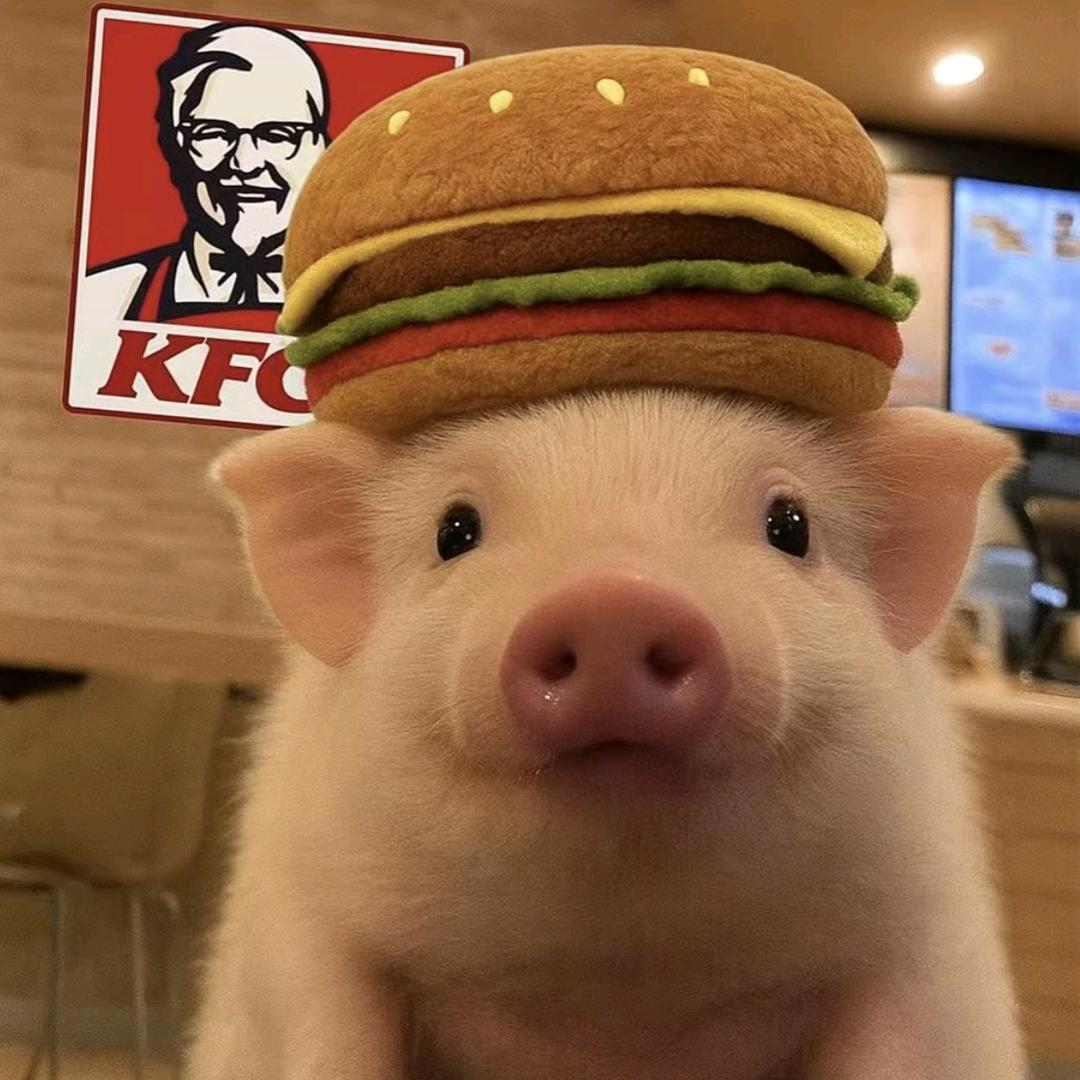 🐷