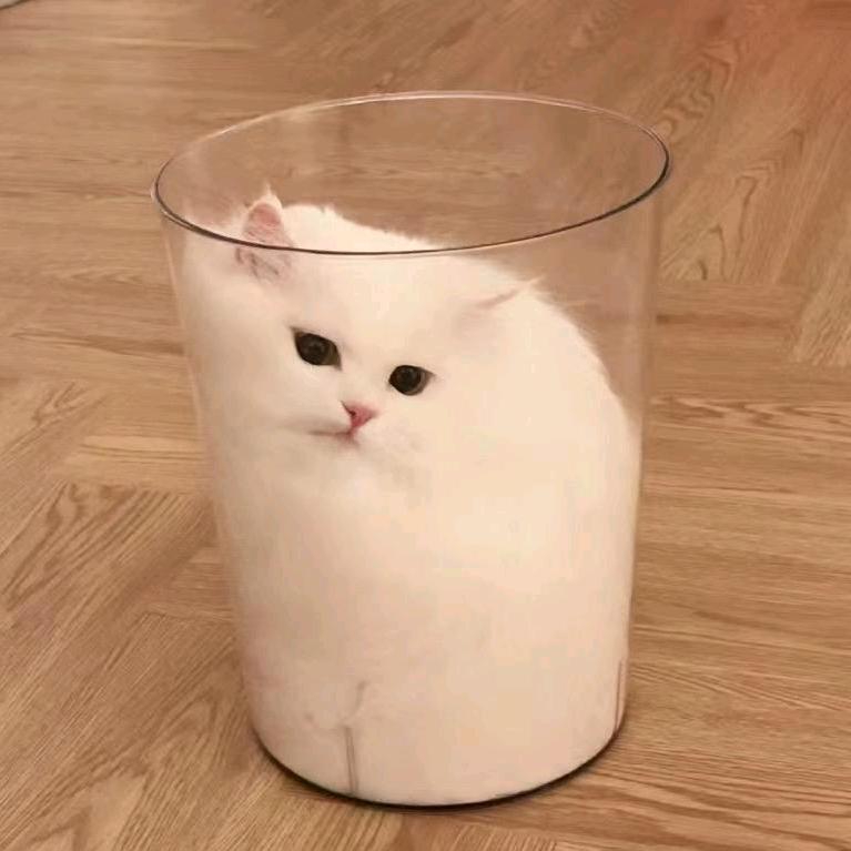 好运连连🤲🏻