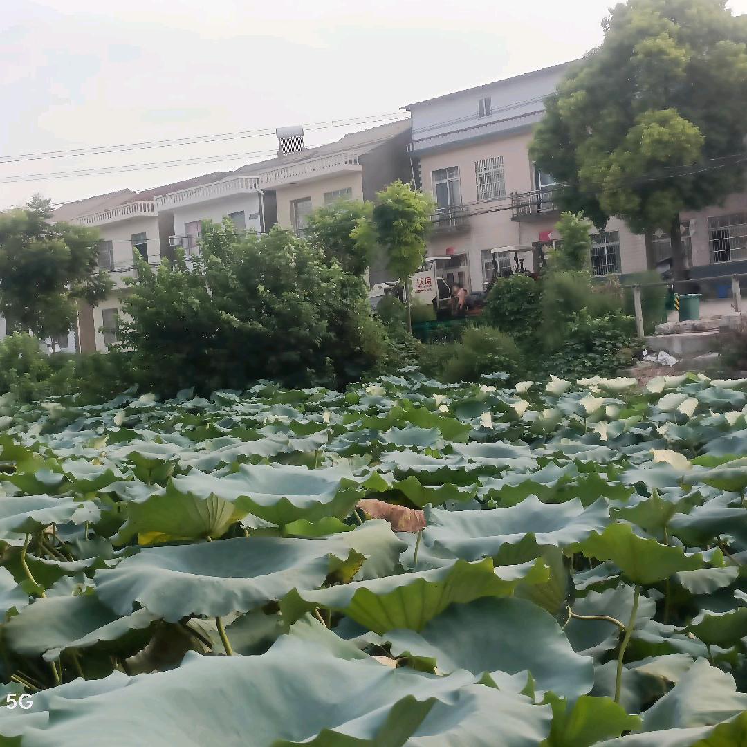 珍惜现在的缘分