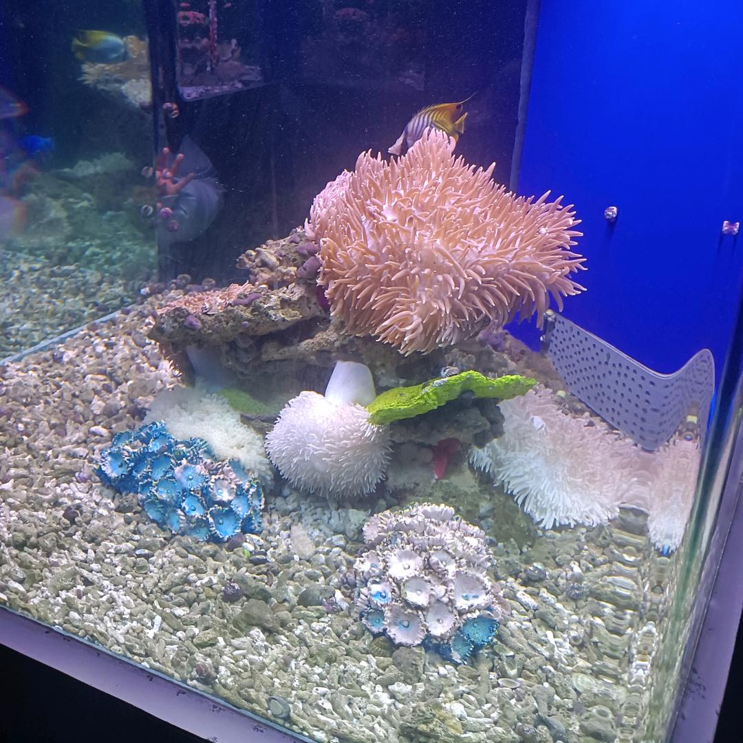 最远的你最近的爱