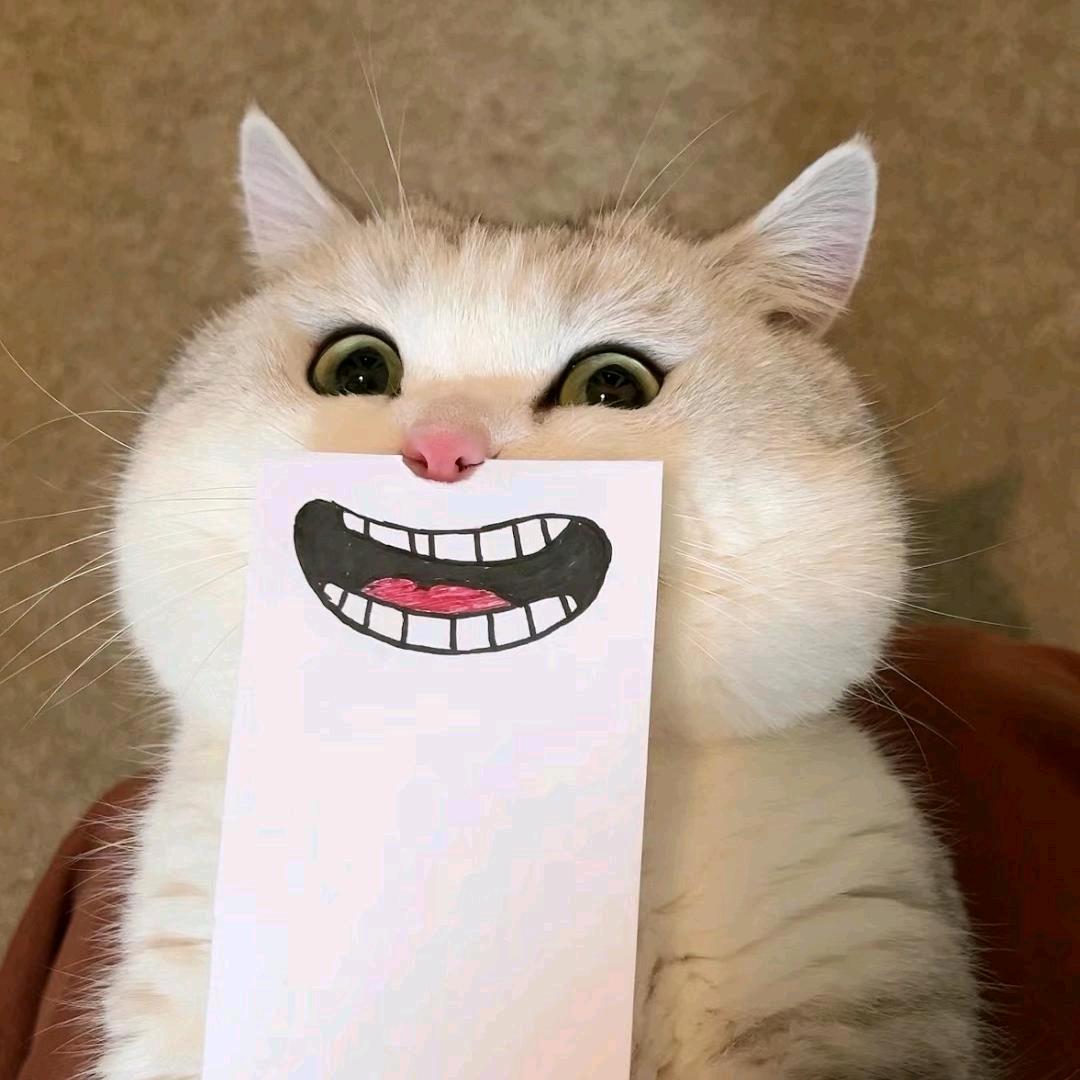 、