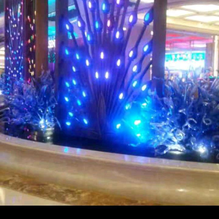 黄明哥