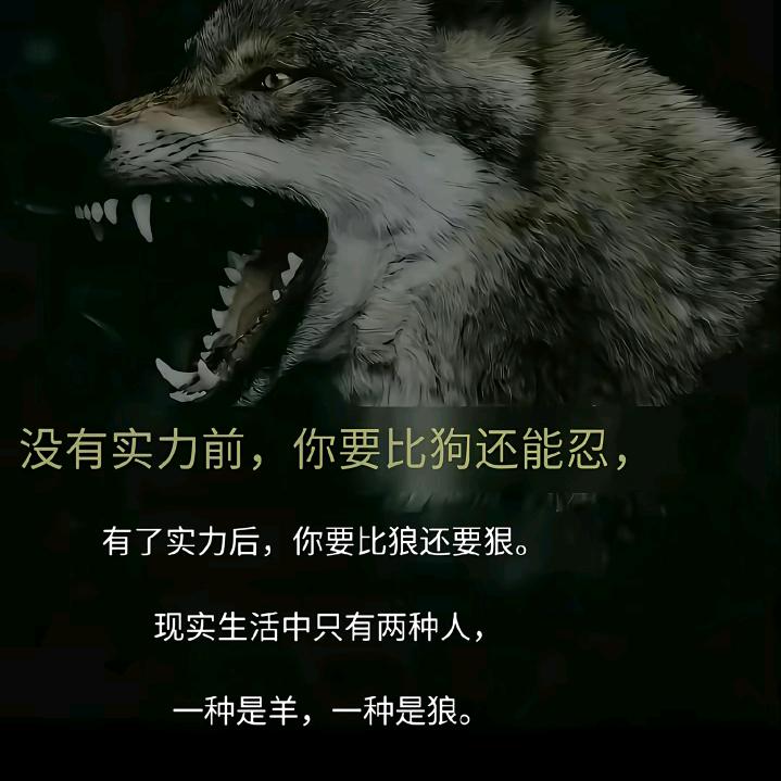 阿舞乱