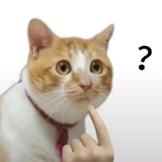 县里万人迷