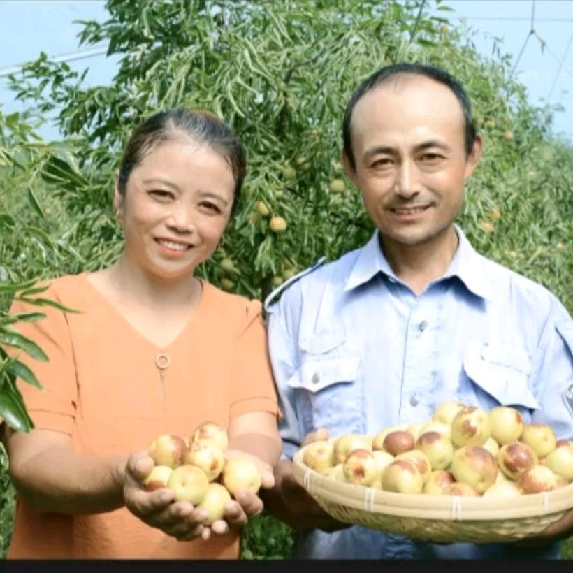 君妹的沾化冬枣小铺
