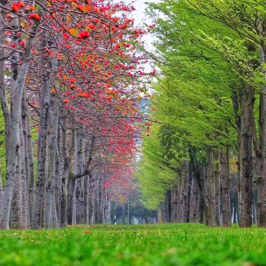 重生之我在北海(小瑞仔)YH