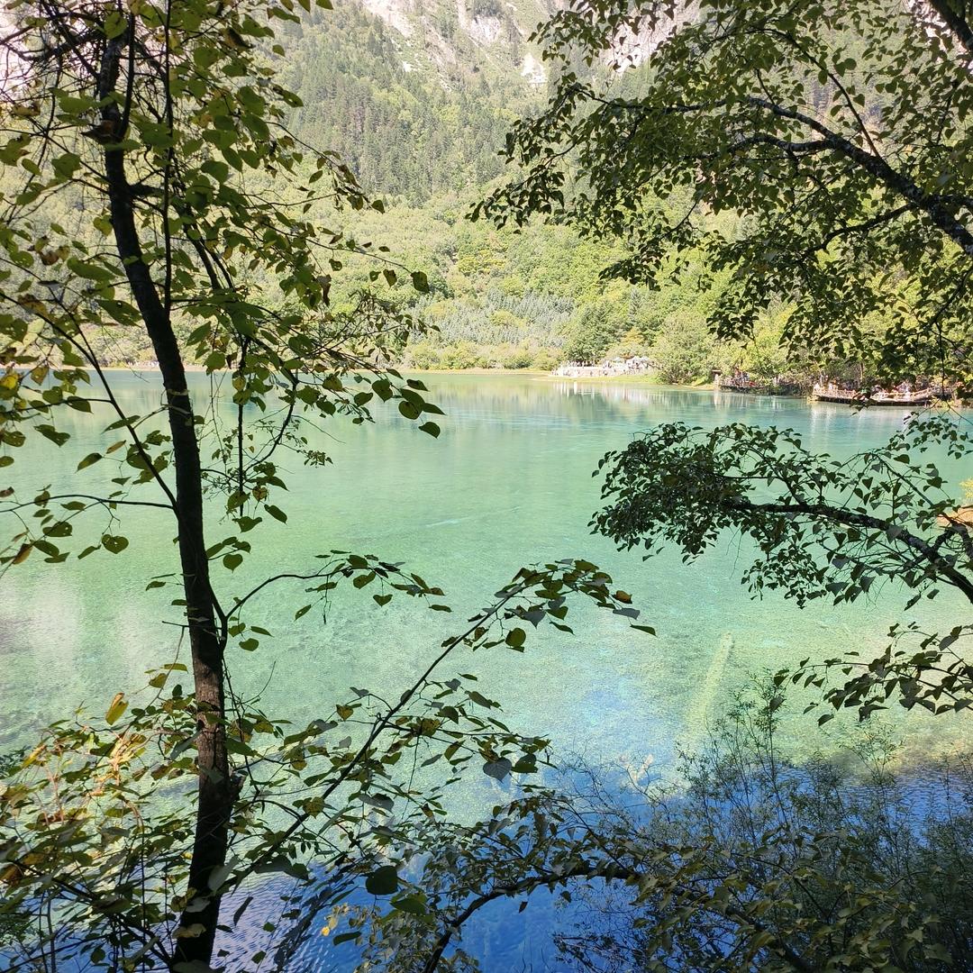 后来🫶