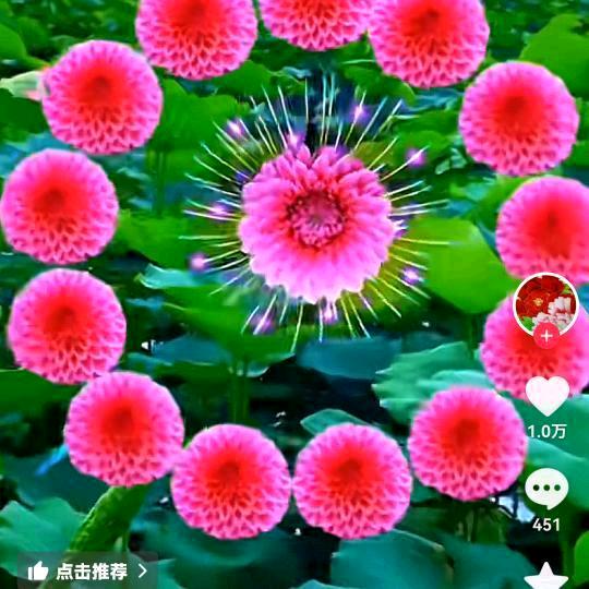 春暖花开时