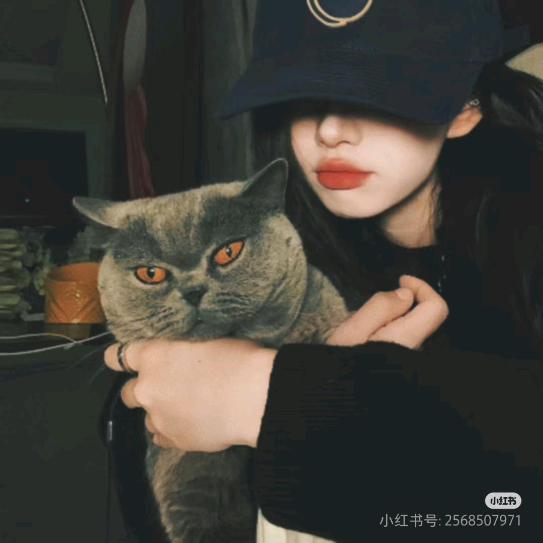 拾柒