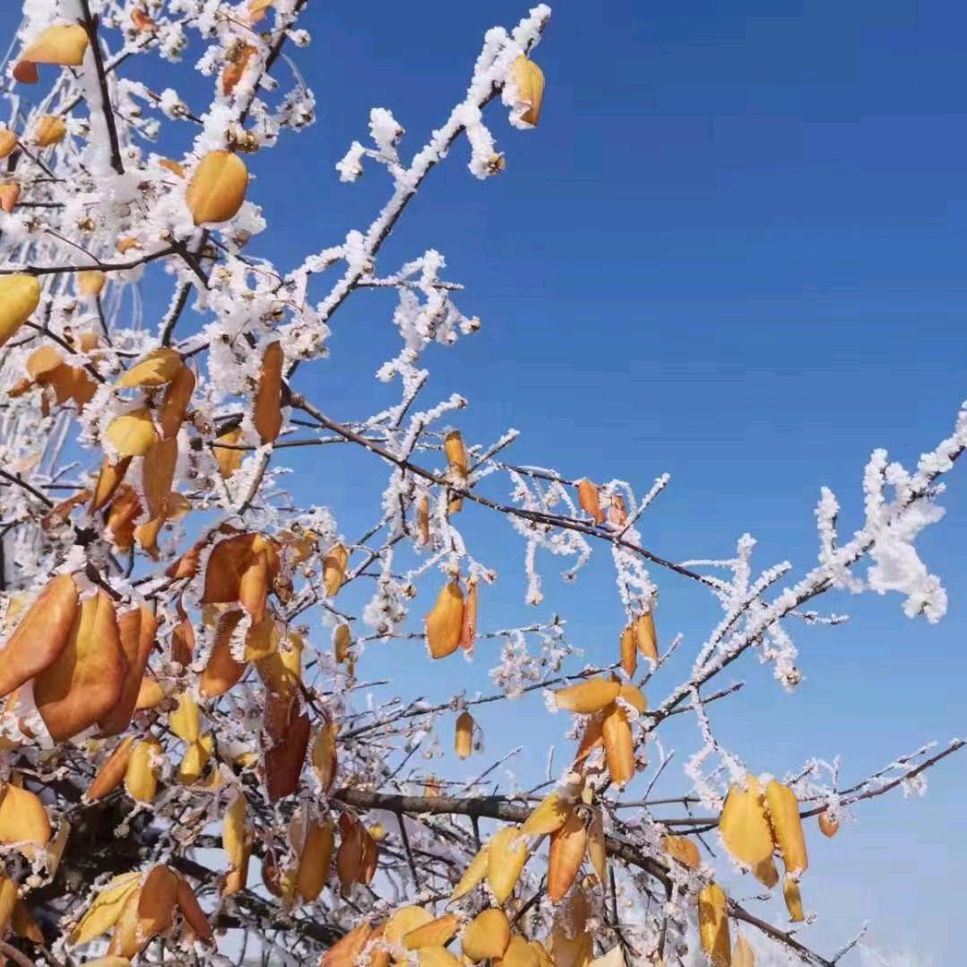 清风归客