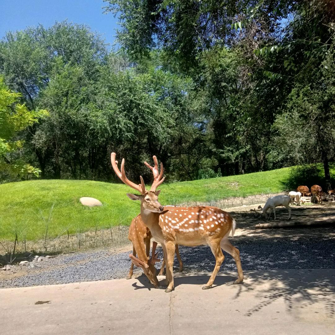 你是我的白昼星辰