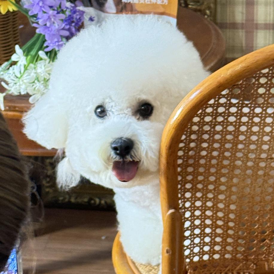 雪糕的甜味☀️🌻