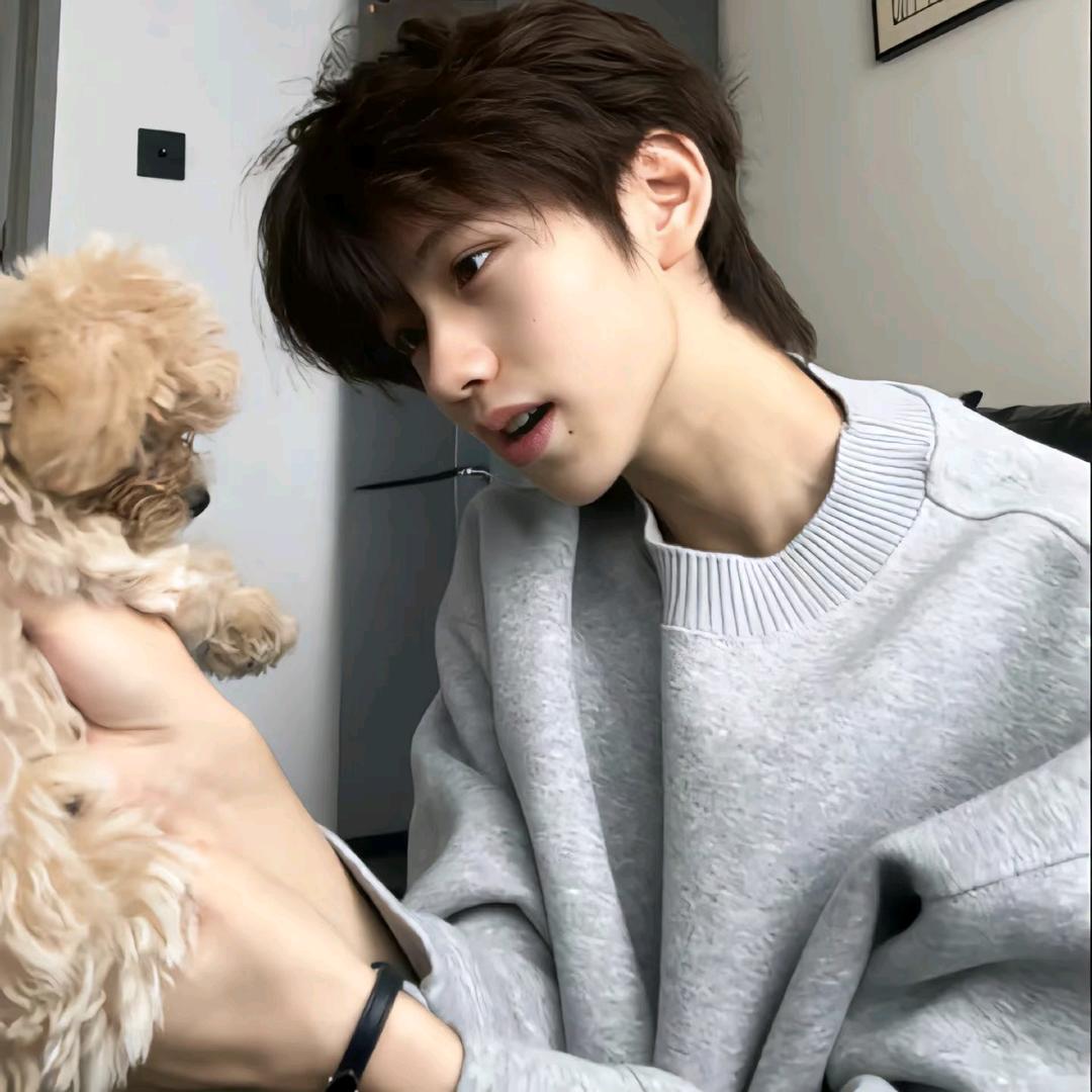 呆萌纯真无比可爱小羊